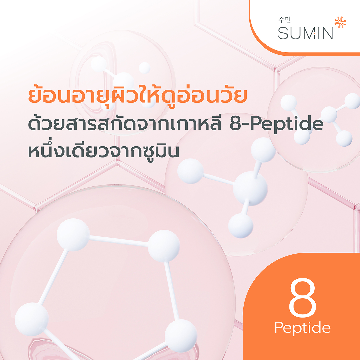 SUMIN-pic2000px-peptide