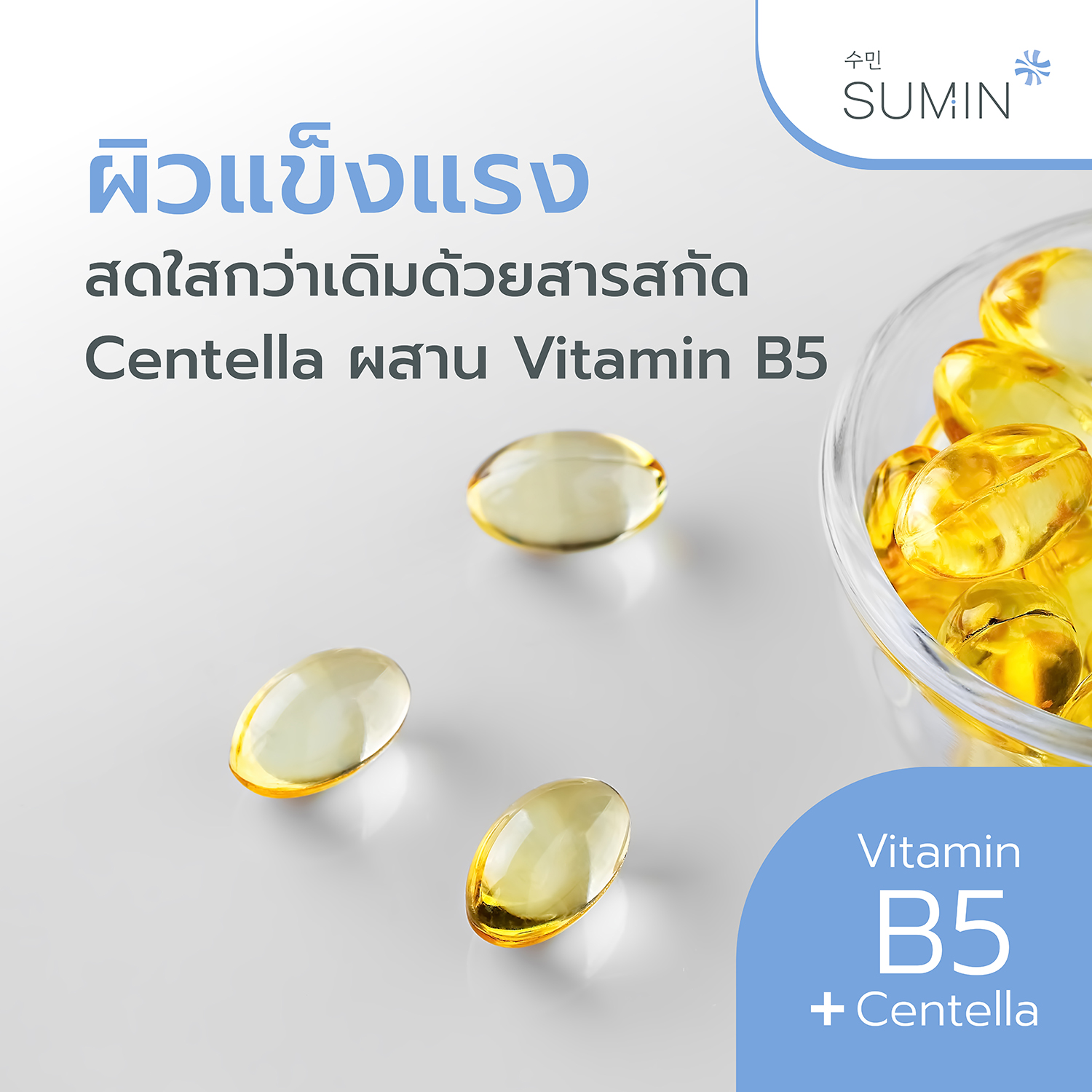 SUMIN-pic2000px-repair